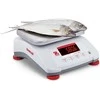 Virtuvinės svarstyklės VALOR 4000 svarstyklės su legalizavimu virtuvei, maitinimui, vandeniui IP68 LED 3Kg / 1g - OHAUS V41PWE3T-M