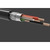 UGREEN US122 kabelis USB 2.0 AB 15m