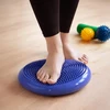 Wozinsky WPSD-01 sensorinė pagalvėlė reabilitacijos ežiui - mėlyna