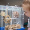 Bonideco Rinkinys iš 5 aksesuarų žiurkėnams, švieisia rudos spalvos