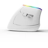 Belaidė pelė pionowa Delux M618C RGB balta