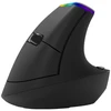 Belaidė pelė pionowa Delux M618C RGB juoda