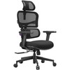 Ergonominė kėdė Spacetronik LUMBO 33 juoda