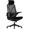 Biuro kėdė ergonomiczny Spacetronik ARIAN-10 SP