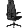 Biuro kėdė ergonomiczny Spacetronik ARIAN-10 SP