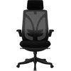 Biuro kėdė ergonomiczny Spacetronik ARIAN-10 SP