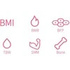 Interaktyvios svarstyklės su HiMirror Smart Body Scale kilimėliu