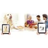 Kamera AMARYLLO iCam Plus HD 360