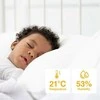 Arenti Ainanny vaizdo kūdikių stebėjimo kamera, rinkinys 4MP*2, LCD ekranas