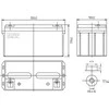 Npp Power Akumuliatorius NPD 12V 65Ah T14 NPP serija DEEP makaronai
