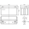 Npp Power Akumuliatorius NPD 12V 65Ah T14 NPP serija DEEP makaronai