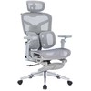 Spacetronik Regulowany Biuro kėdė 6D SPRINGO-02 Pilka SPC-S
