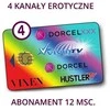 ASTRA 4+ 4 kanalų / 12 m VCC6 kanalų prieigos paslauga