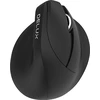 Delux M618 MINI vertikali pelė, juoda, belaidė