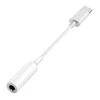 Spacetronik USB-C iki 3,5 mm lizdo adapteris SPU-A01