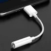 Spacetronik USB-C iki 3,5 mm lizdo adapteris SPU-A01