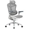 Spacetronik Biuro kėdė sukamasis Doris 40 Pilka SPC-DORIS-40