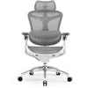Spacetronik Biuro kėdė sukamasis Doris 40 Pilka SPC-DORIS-40