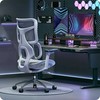 Spacetronik „Springle 22“ pilka pasukama biuro kėdė
