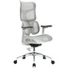Spacetronik Fotel biurowy sukamasis Springle 22 Pilka SPC-SPRIN
