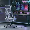 Spacetronik Fotel biurowy sukamasis Springle 22 Pilka SPC-SPRIN