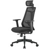 Spacetronik Ergonominė biuro kėdė GRINGO-45 150 kg