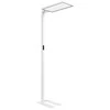 Spacetronik Pastatoma LED lempa GLOW D24 Pro Auto Baltas