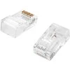 Spacetronik RJ45 kištukas 5e kat. UTP NC-RJ455UT-0 25vnt.