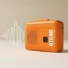 Diktofonas „Walkman“ su balso įrašymo įrenginiu ir diktofonu EZCAP247