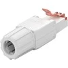 Goobay susuktas RJ45 8P8C CAT6 UTP tinklo kištukas