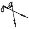 Trekingo lazdos Spokey Zion 929460, pilka/juoda