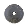Svoris grifui su cementiniu užpildu 30mm inSPORTline 1,25kg