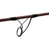 Delphin ETNA LEGEND4RY karpinė meškerė 300 cm / 3,00 lb