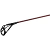 Delphin ETNA LEGEND4RY karpinė meškerė 300 cm / 3,00 lb