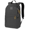 JackWolfskin Kuprinė Jack Wolfskin PERFECT DAY 22 L | pilka