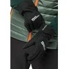 JackWolfskin Moteriškos pirštinės Jack Wolfskin Winter Basic | juodos