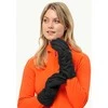 JackWolfskin Moteriškos pirštinės Jack Wolfskin Winter Basic | juodos
