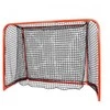 Tempish Floorball goal 160x115 IFF certified with net and drop net