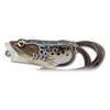 Livetarget Vobleris Live Target Hollow Body Frog Popper, 5,5 cm, 11 g