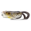 Livetarget Vobleris Live Target Hollow Body Frog Popper, 5,5 cm, 11 g