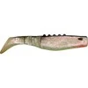 Riperis Dragon Phantail, 3"/8,5 cm, 3 vnt.
