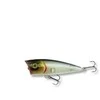 Robinson Splash F60 popperis 6 cm / 8 g | Įvairių spalvų