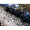 Šėryklėlė su pavadėliu Delphin RiverSTIX, 100-170 g