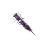 Silikoninis masalas Fanatik Larva, 50 mm (2 inches)
