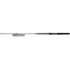 Spiningas Dragon Millenium SP SpeedKing 2,90m 10-30g