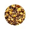 Virtų sėklų ir grūdų mišinys Genlog Super Mix 1kg