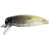 Vobleriai Sakura Swimy Cricket Crank, 37 mm, 2 g