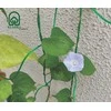 Klasika Garden Tinklas lipantiems augalams - 1,80 x 2,70 m