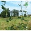 Tenax FLORA daržovių/augalų prilaikymo tinklas