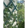 Tenax Grotelės TREPLAS vijoklinėms gėlėms - 1x2m